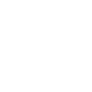 free bicycle